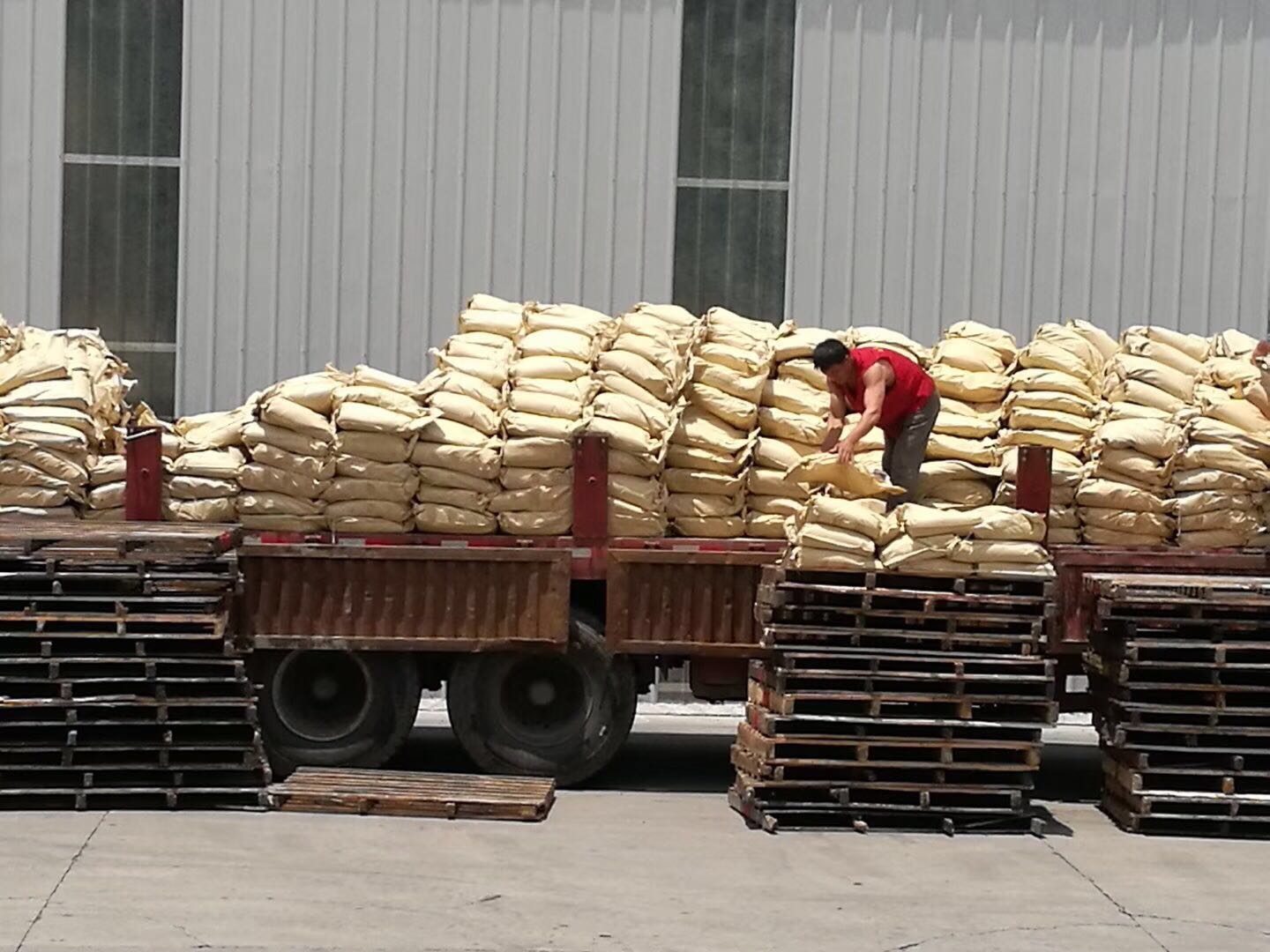 荣誉证书测试名称12